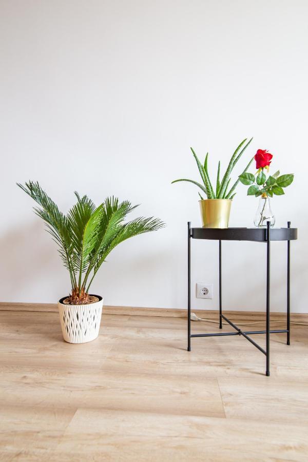 Best Rated Central Apartment Vienna - Ac, Wifi, 24H7Days Self Check-In, Board Games, Netflix Zewnętrze zdjęcie